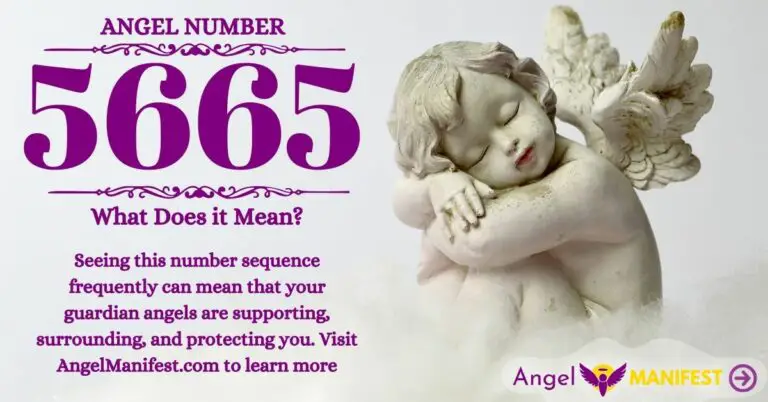 numerology number 5665