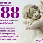 numerology number 5888