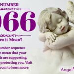 numerology number 6066