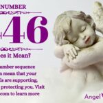 numerology number 6446