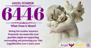 numerology number 6446