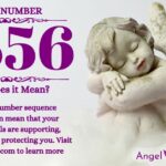 numerology number 6556