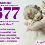 numerology number 6677