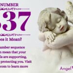 numerology number 7337