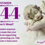 numerology number 7444