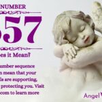 numerology number 7557