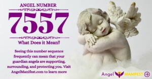 numerology number 7557