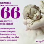 numerology number 7666