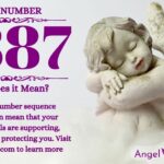 numerology number 7887