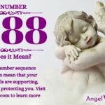 numerology number 7888