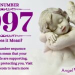 numerology number 7997