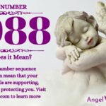 numerology number 8088