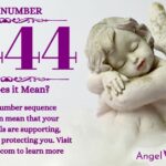 numerology number 8444