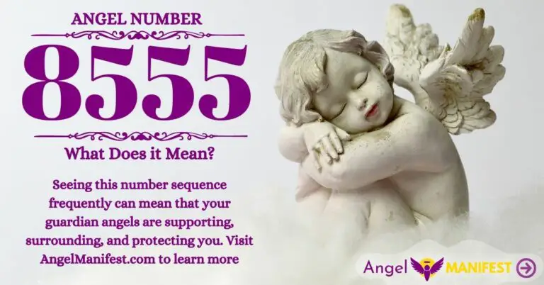 numerology number 8555