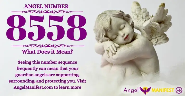 numerology number 8558