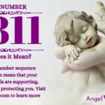 numerology number 8811