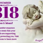 numerology number 8818