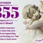 numerology number 8855