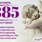 numerology number 8885