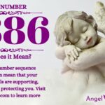 numerology number 8886