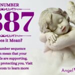 numerology number 8887