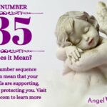 numerology number 135