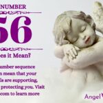 numerology number 156
