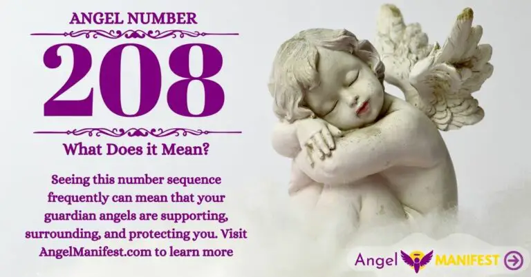 numerology number 208