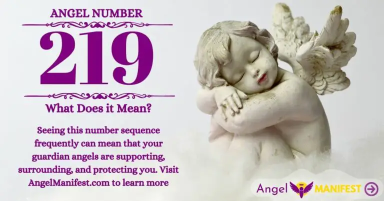 numerology number 219