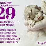 numerology number 229
