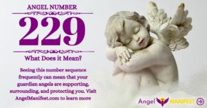 numerology number 229