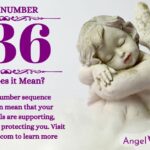 numerology number 236
