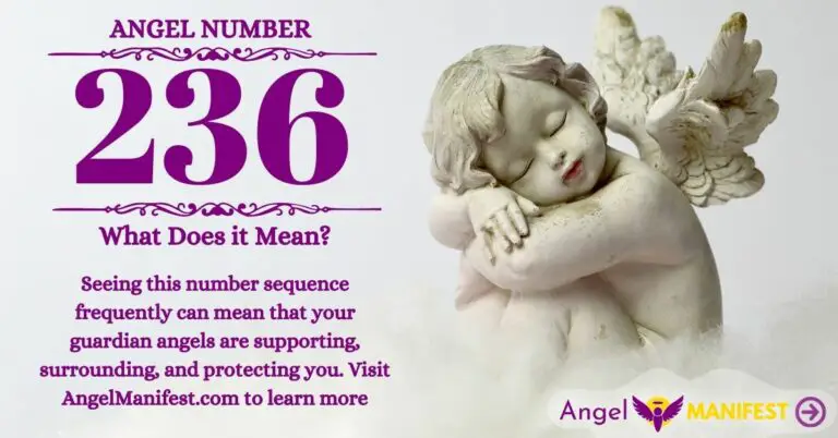numerology number 236
