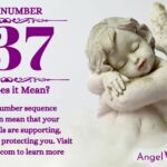 numerology number 237