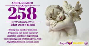 numerology number 258