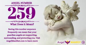 numerology number 259