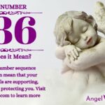 numerology number 286