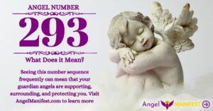numerology number 293