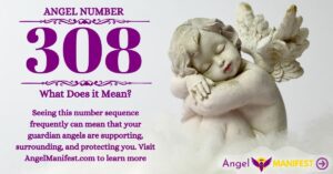 numerology number 308