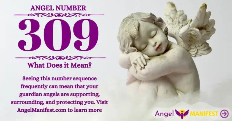 numerology number 309