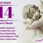 numerology number 314