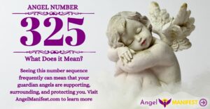 numerology number 325