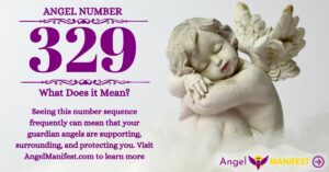 numerology number 329