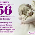 numerology number 356