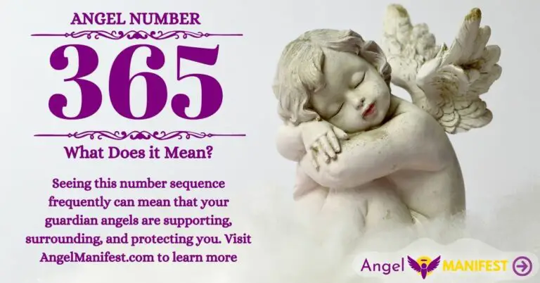 numerology number 365