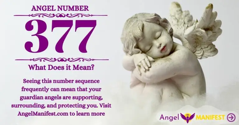 numerology number 377