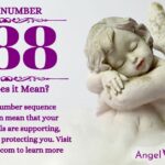 numerology number 388