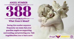 numerology number 388