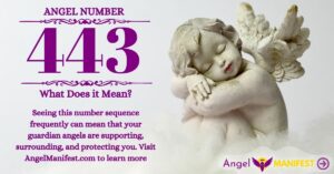 numerology number 443