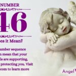 numerology number 446
